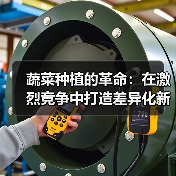 蔬菜种植的革命：在激烈竞争中打造差异化新鲜体验（图3）