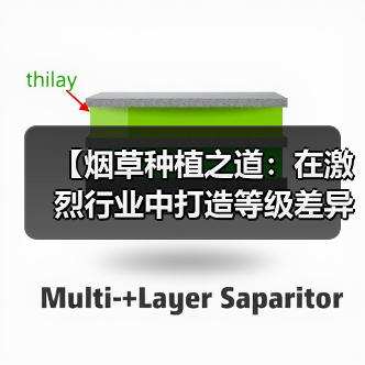 【烟草种植之道：在激烈行业中打造等级差异化的秘密】（图3）