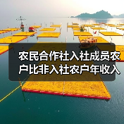 农民合作社入社成员农户比非入社农户年收入平均高出32%（图1）