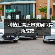 种植业高质量发展取得新成效（图1）