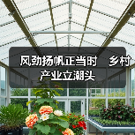 风劲扬帆正当时　乡村产业立潮头（图1）