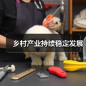 乡村产业持续稳定发展（图2）