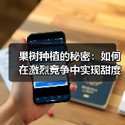 果树种植的秘密：如何在激烈竞争中实现甜度差异化突破（图2）