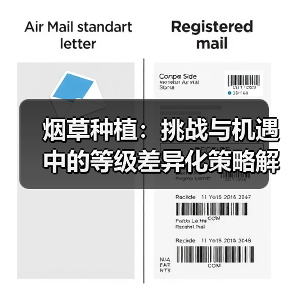 烟草种植：挑战与机遇中的等级差异化策略解析（图3）
