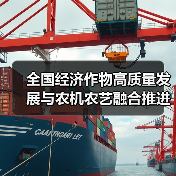 全国经济作物高质量发展与农机农艺融合推进落实会在山东寿光召开（图3）