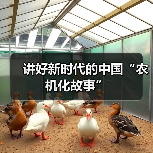讲好新时代的中国“农机化故事”（图2）