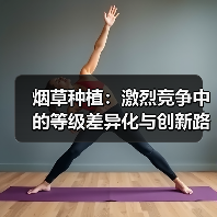 烟草种植：激烈竞争中的等级差异化与创新路径（图4）