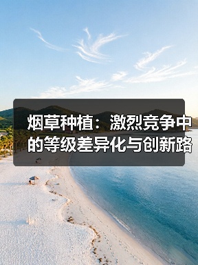 烟草种植：激烈竞争中的等级差异化与创新路径（图3）