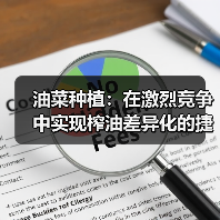 油菜种植：在激烈竞争中实现榨油差异化的捷径（图2）