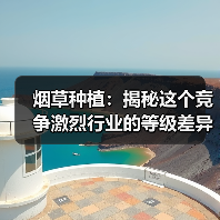 烟草种植：揭秘这个竞争激烈行业的等级差异化（图1）