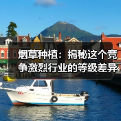 烟草种植：揭秘这个竞争激烈行业的等级差异化（图2）
