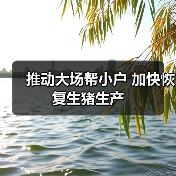 推动大场帮小户 加快恢复生猪生产（图4）