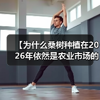 【为什么桑树种植在2026年依然是农业市场的“黑马”？详解叶质差异化策略】（图2）