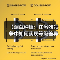 【烟草种植：在激烈竞争中如何实现等级差异化】（图2）