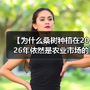 【为什么桑树种植在2026年依然是农业市场的“黑马”？详解叶质差异化策略】（图3）