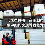 【烟草种植：在激烈竞争中如何实现等级差异化】（图3）