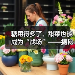 糖用得多了，甜菜也能成为“战场”——揭秘甜菜种植在竞争激烈行业中的产量差异化之道（图4）