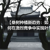 【桑树种植新趋势：如何在激烈竞争中实现叶质差异化】（图4）