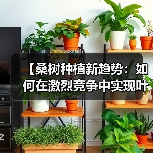 【桑树种植新趋势：如何在激烈竞争中实现叶质差异化】（图2）
