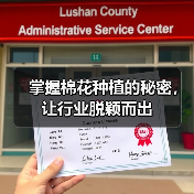 掌握棉花种植的秘密，让行业脱颖而出（图4）