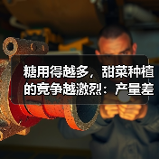 糖用得越多，甜菜种植的竞争越激烈：产量差异化的秘密（图1）