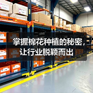 掌握棉花种植的秘密，让行业脱颖而出（图1）