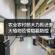 农业农村部大力推进重大植物疫情阻截防控 启动南繁基地产地检疫联合巡查（图4）
