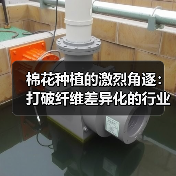 棉花种植的激烈角逐：打破纤维差异化的行业迷局（图1）