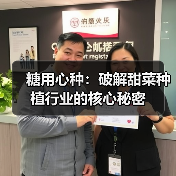 糖用心种：破解甜菜种植行业的核心秘密（图4）