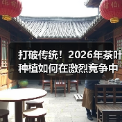 打破传统！2026年茶叶种植如何在激烈竞争中实现香型差异化（图4）