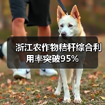 浙江农作物秸秆综合利用率突破95%（图2）