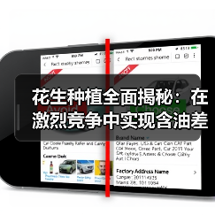 花生种植全面揭秘：在激烈竞争中实现含油差异化的制胜之道（图4）