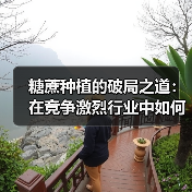 糖蔗种植的破局之道：在竞争激烈行业中如何实现含糖差异化（图2）