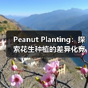 Peanut Planting：探索花生种植的差异化竞争策略（图4）