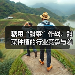 糖用“甜菜”作战：甜菜种植的行业竞争与差异化攻略（图4）