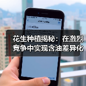 花生种植揭秘：在激烈竞争中实现含油差异化的成功路径