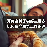 河南省关于做好三夏农机化生产服务工作的通知（图3）