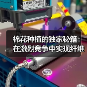 棉花种植的独家秘籍：在激烈竞争中实现纤维差异化（图2）