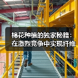 棉花种植的独家秘籍：在激烈竞争中实现纤维差异化（图4）