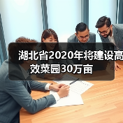 湖北省2020年将建设高效菜园30万亩（图4）