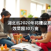 湖北省2020年将建设高效菜园30万亩（图1）