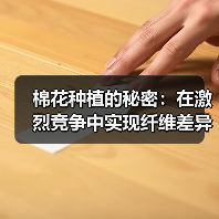 棉花种植的秘密：在激烈竞争中实现纤维差异化的关键路径（图2）