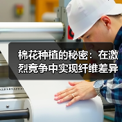 棉花种植的秘密：在激烈竞争中实现纤维差异化的关键路径