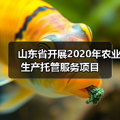 山东省开展2020年农业生产托管服务项目（图3）