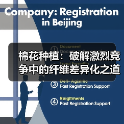 棉花种植：破解激烈竞争中的纤维差异化之道