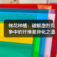 棉花种植：破解激烈竞争中的纤维差异化之道（图4）