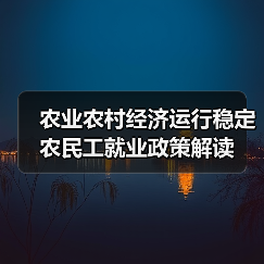 农业农村经济运行稳定 农民工就业政策解读（图3）
