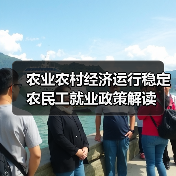 农业农村经济运行稳定 农民工就业政策解读（图2）