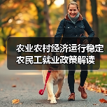 农业农村经济运行稳定 农民工就业政策解读（图1）