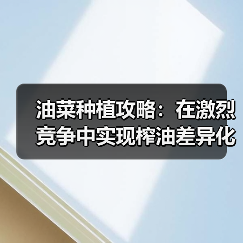 油菜种植攻略：在激烈竞争中实现榨油差异化（图2）